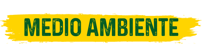 Cuidemos-juntos-el-medio-ambiente